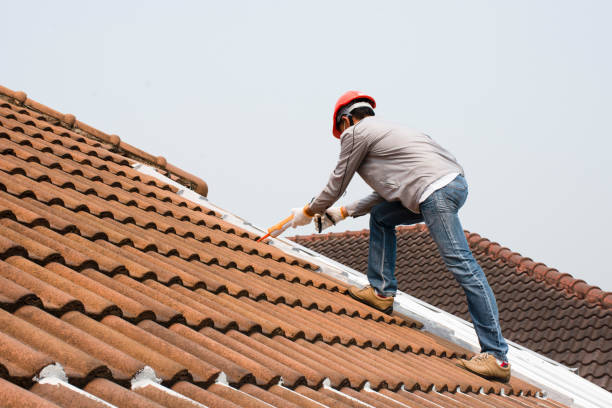 Best Roof Moss and Algae Removal  in Garrettsville, OH